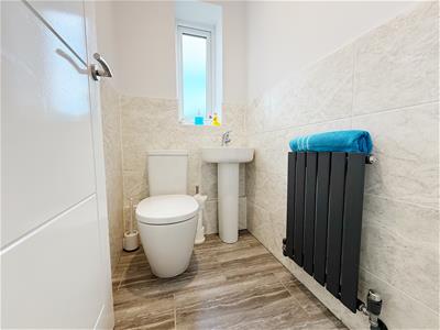 Picture 16